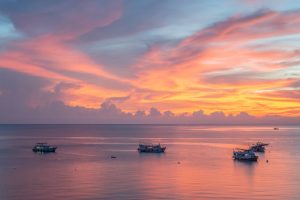 Cruise Ship Libraries and Quiet Spaces: Finding Solace at Sea