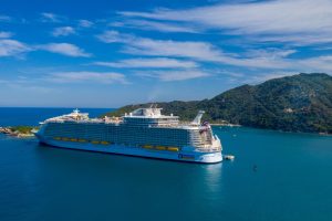 Mega-Ships Vs. Boutique Vessels: Understanding the Differences