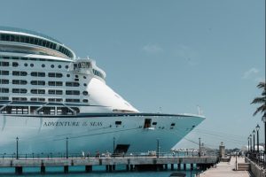 Cruise Ship Art: The Latest Trends in Onboard Art Collections